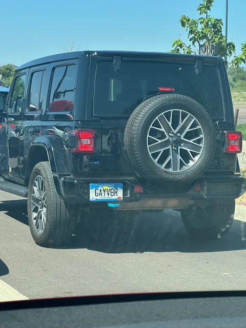 GAYVOR — CA