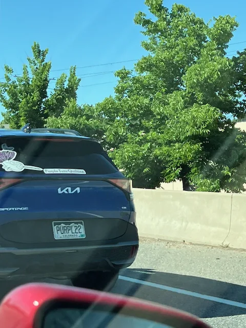 PURPL22 — CO