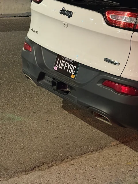 LUFFYSG — CO