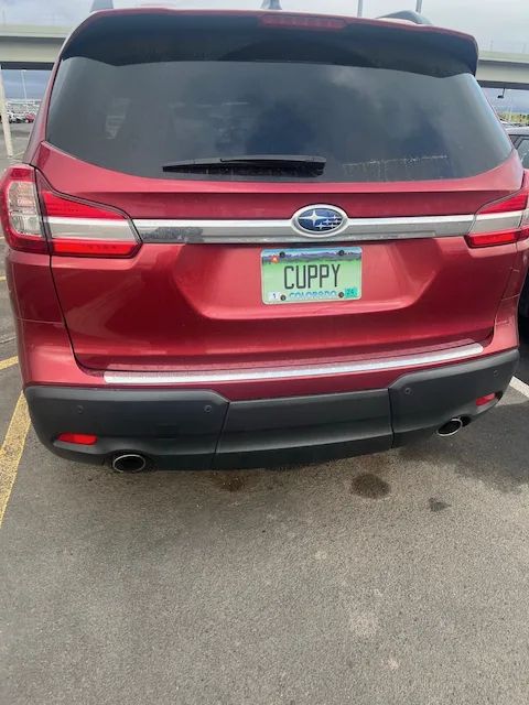 CUPPY — CA