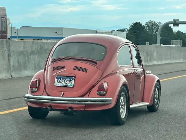 COZYBUG — CO