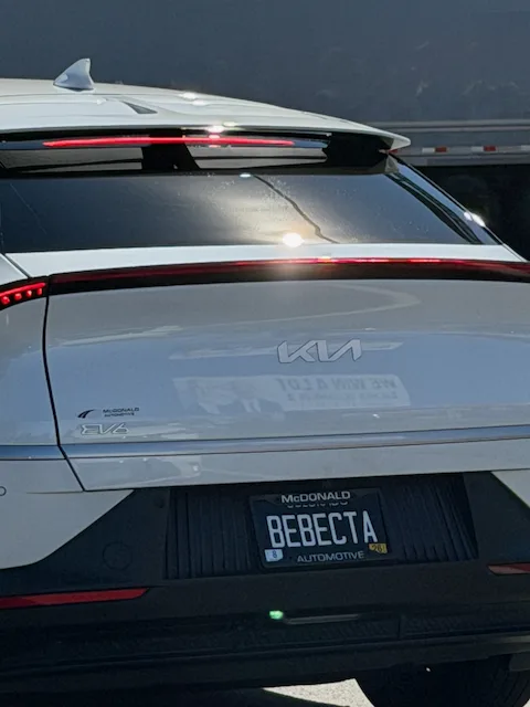 BEBECTA — CO
