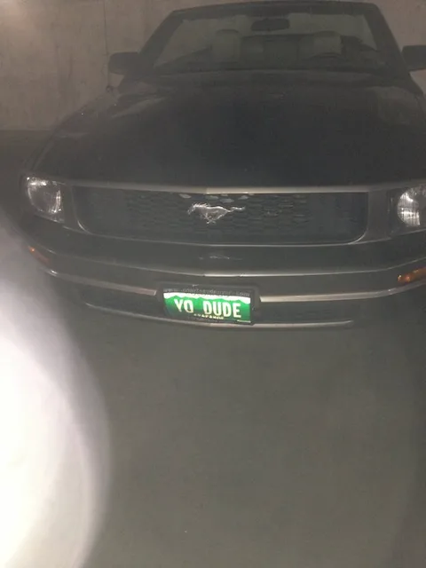 YO DUDE
