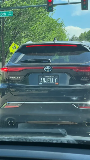 ANJELLY — CO