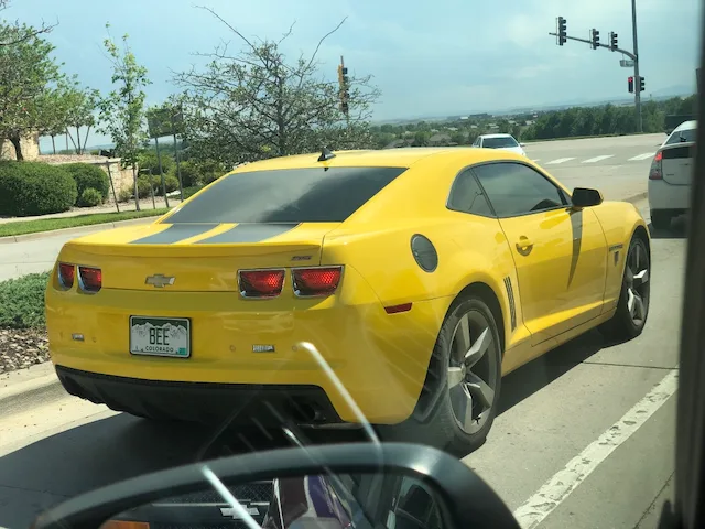 BEE — CA