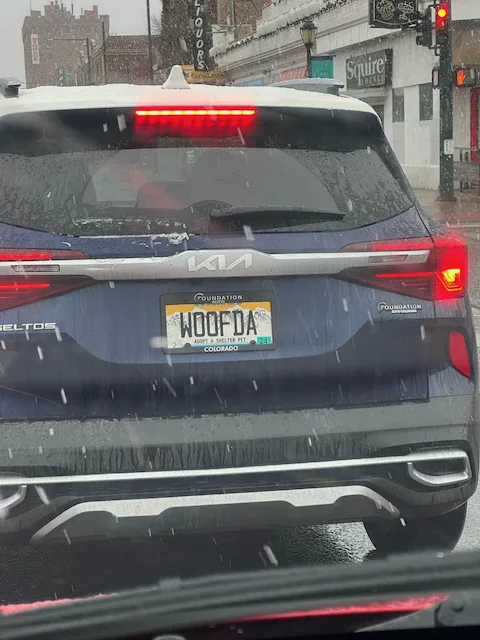 WOOFDA — CO