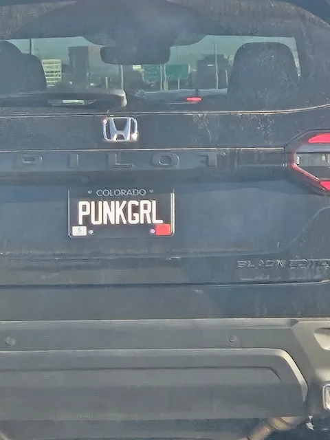 PUNKGRL — CO